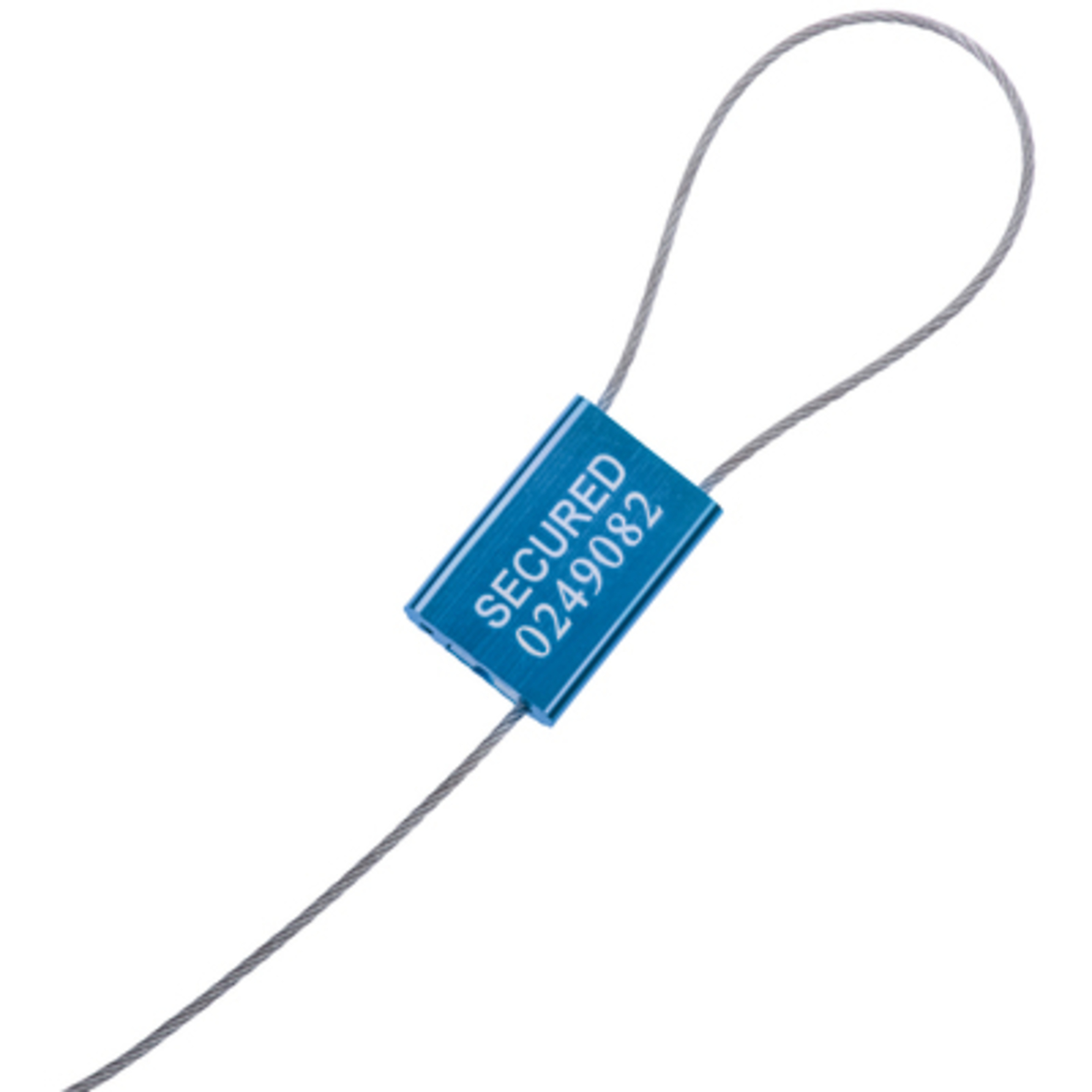 1/16 x 12in. Cable Seals - Blue 100/CS, Model# SE1050BL